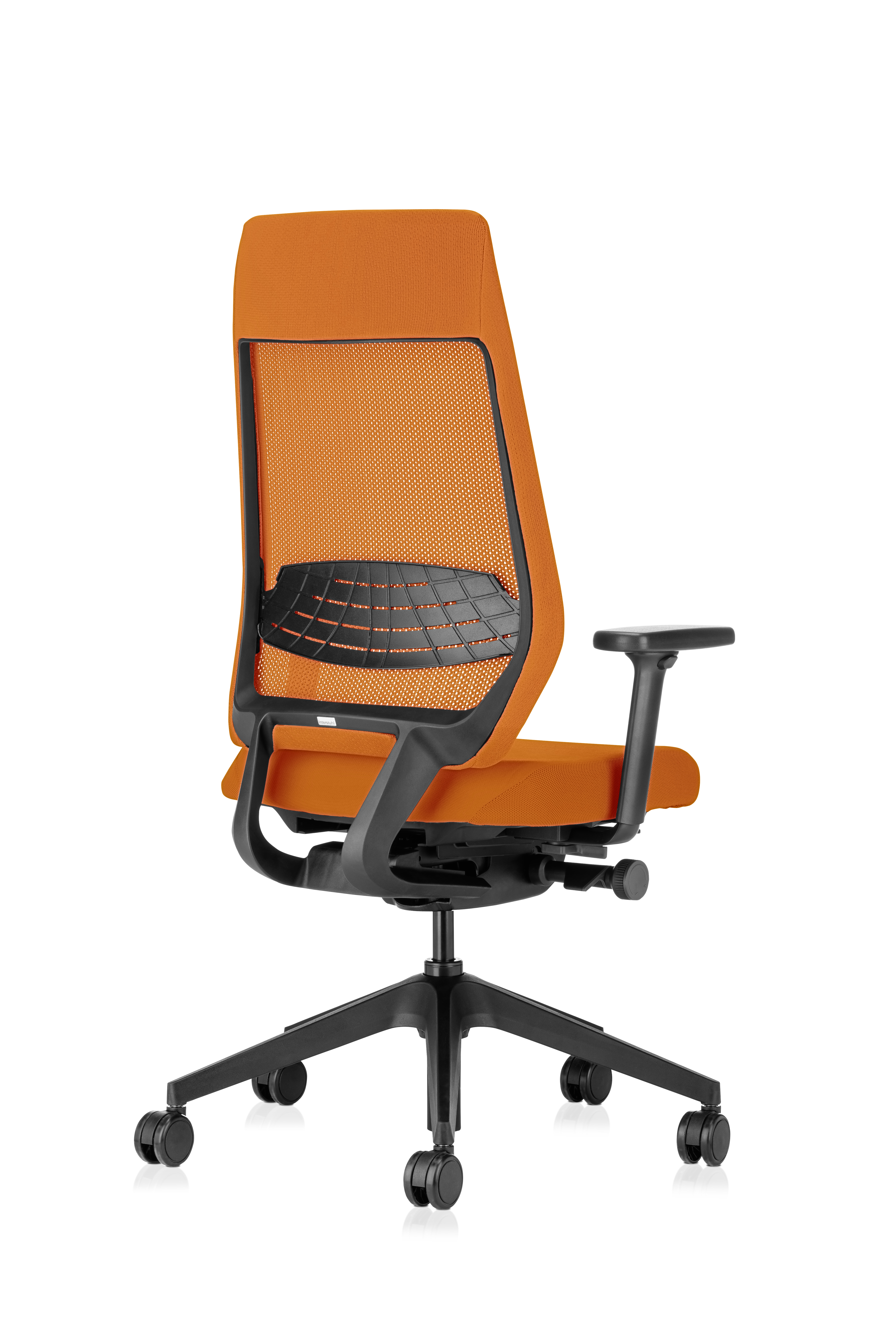 JOYCEis3_Rueck_jc212_Netz_orange_schwarz_Lordose_r1