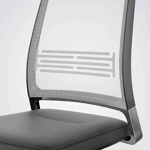 VINTAGEis5_Lumbar_Function