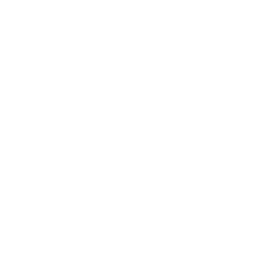 Dealer search 